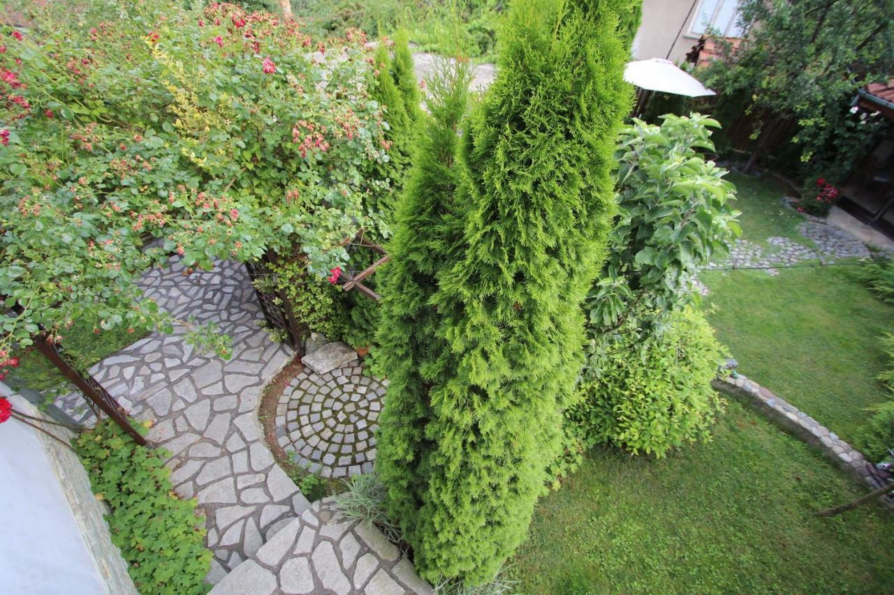 Къща За Гости Джая Belogradtschik Exterior foto